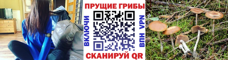 Псилоцибиновые грибы прущие грибы  закладки  Усинск 
